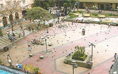 plazailuminacion.jpg