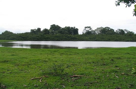 Costa Rica comienza labores de protección de humedales