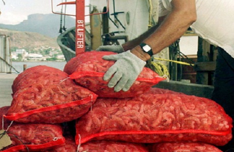 Ambientalistas se oponen a la pesca de arrastre en Costa Rica