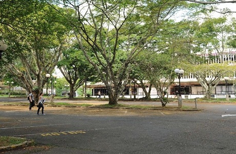 Celebraciones en toda Costa Rica por día del ambiente
